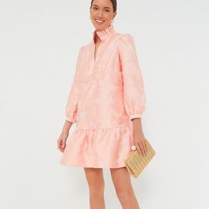 Tuckernuck Pink Mini Dress nwt